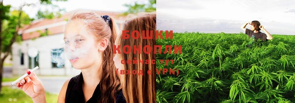 гидропоника Заводоуковск