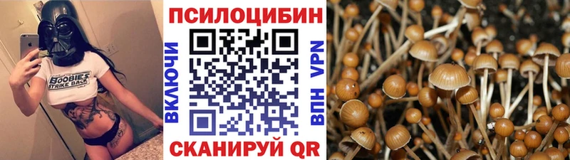 Галлюциногенные грибы мухоморы  Купить закладки  Жуковка 